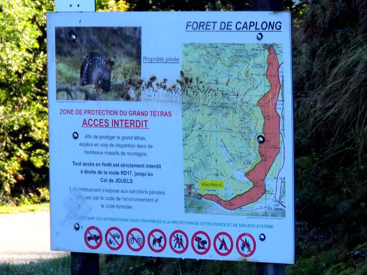 La forêt de Caplong dont l'accès est interdit car c'est une zone de protection du grand tétras.