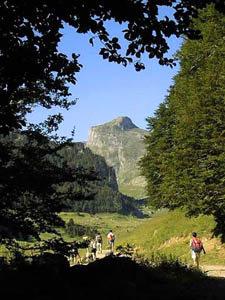 Vue sur le Casterau en arrivant au pont de Bious