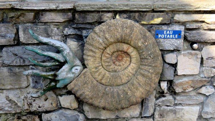 Fontaine ammonite - Bidart