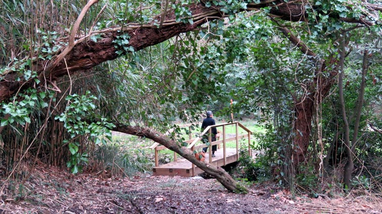 Une passerelle en bois nous permet de franchir le ruisseau de Barchalot.