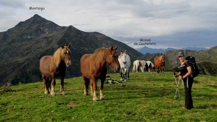 Nous sommes accueillis par un troupeau de chevaux au sommet de La Peyre