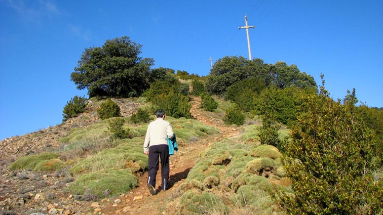 Le sentier est bien trac dans les arizones.