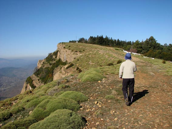 Le chemin qui se poursuit en crte.
