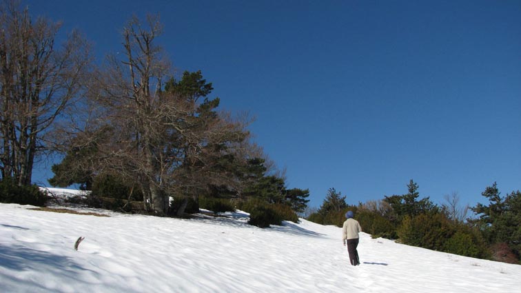 Ce coup-ci il y a vraiment beaucoup de neige...