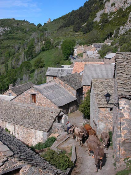 Nous dominons le village de Tella, apercevant dans le col à l'Ouest, l'ermitage Virgen de Fajanillas.