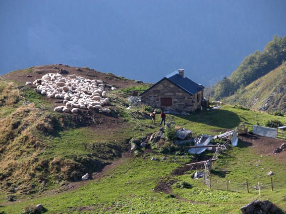 La cabane d'Aule.