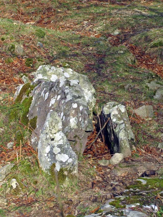 Le dolmen d'Aztun