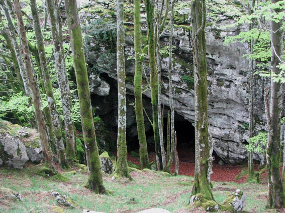 Encore une belle grotte en contrebas sur la droite dans la forêt.