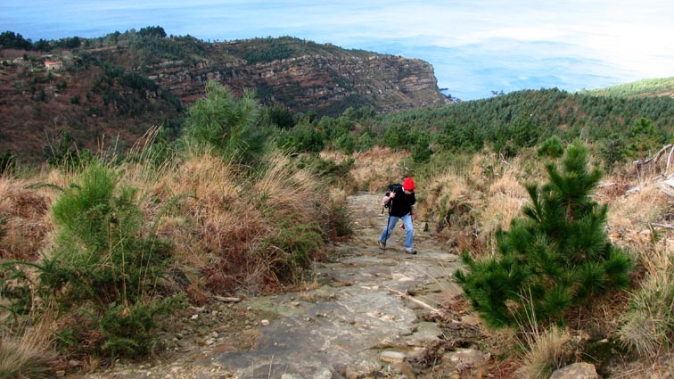 Le chemin rocheux dans la lande "Ametz bakar"