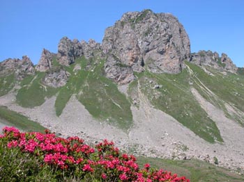 Le Lauriolle derrire un massif de Rhododendrons.