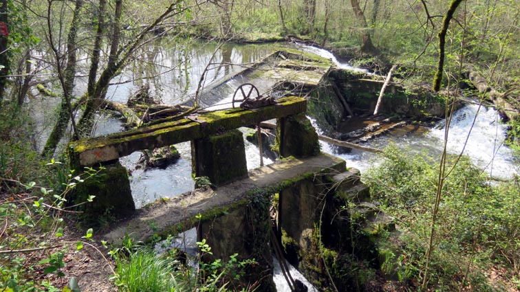 Un barrage aménagé sur la Nivelle