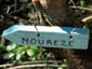 Cirque de Mourze - Mont Liausson