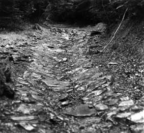 Chemin montant de Laruns en direction d'Arrioutort. Photo prise par Jean Pierre Dugne en 1977.
