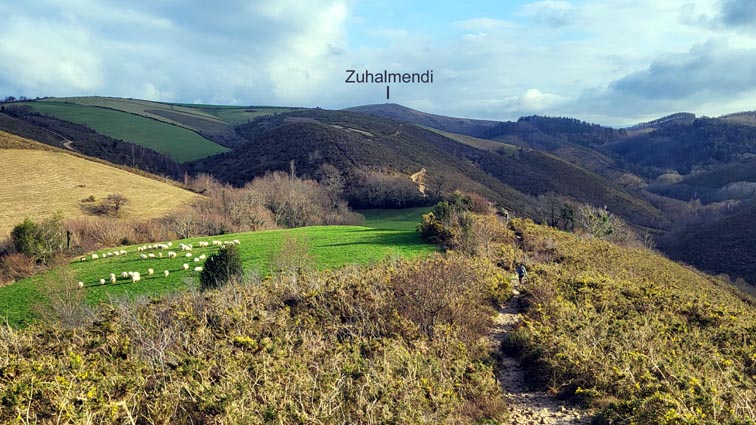 Zuhalmendi