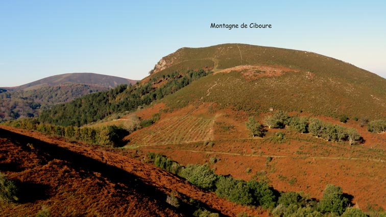 La Montagne de Ciboure