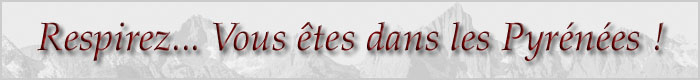 Le site de Fran�ois Bres.