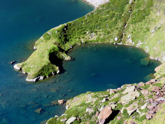 Presqu'île dans l'Estany de Més Amount