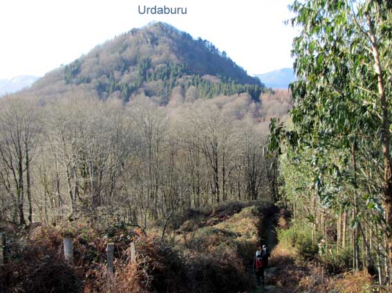  Nous continuons sur le sentier qui descend sur la droite en longeant la clôture, en direction du sommet d'Urdaburu