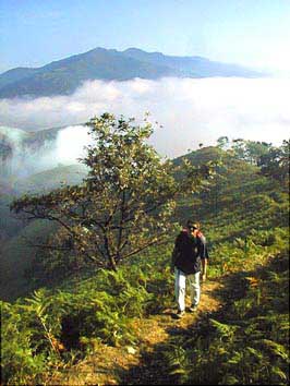 Monte au dessus des brmes de la valle.