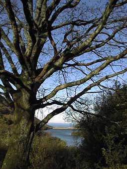 Le lac du Choldo et la mer au fond.