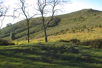 La bosse herbeuse au premier plan est un tumulus.