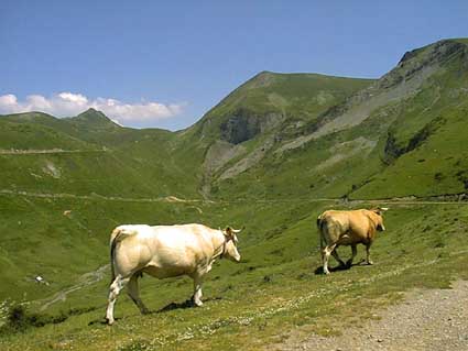 Otchogorrigagna  droite du col.