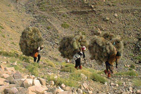 Le tour du Toubkal