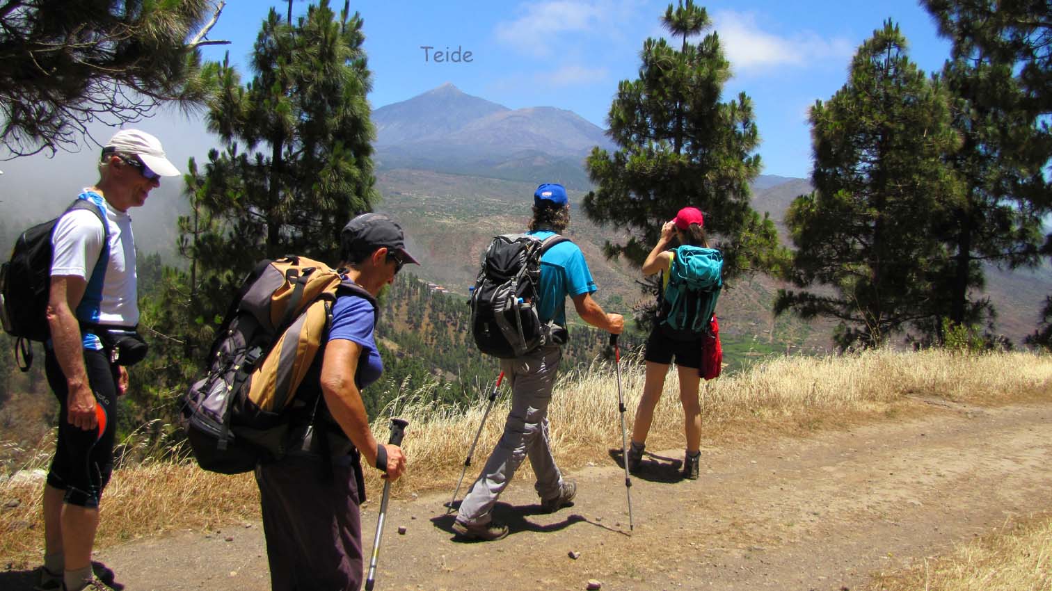 Point de vue sur le Teide et le Pico Viejo