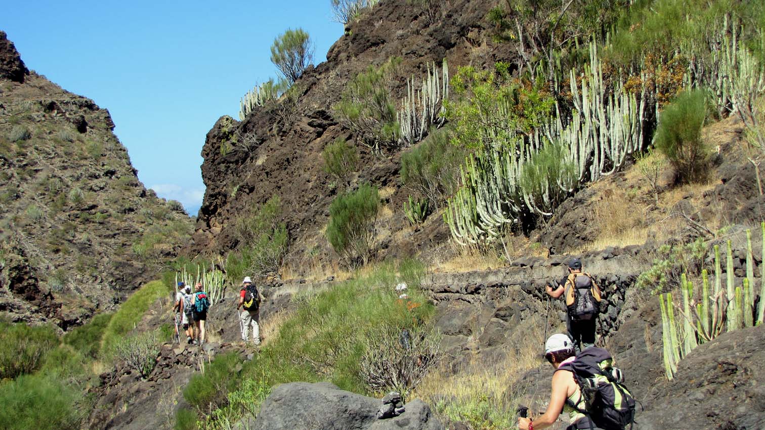 Barranco del Natero - Barranco de Masca