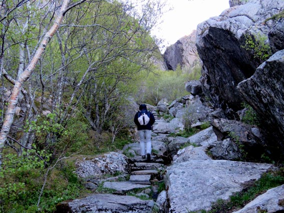 Le sentier est entrecoupé de quelques marches en pierres, et pénètre progressivement en forêt.
